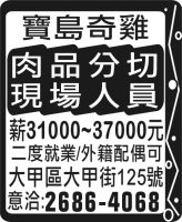 寶島奇雞