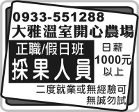 大雅溫室開心農場