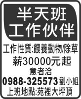 半天班工作伙伴
