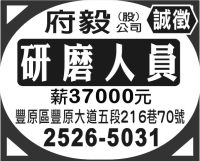 府毅 (股) 公司